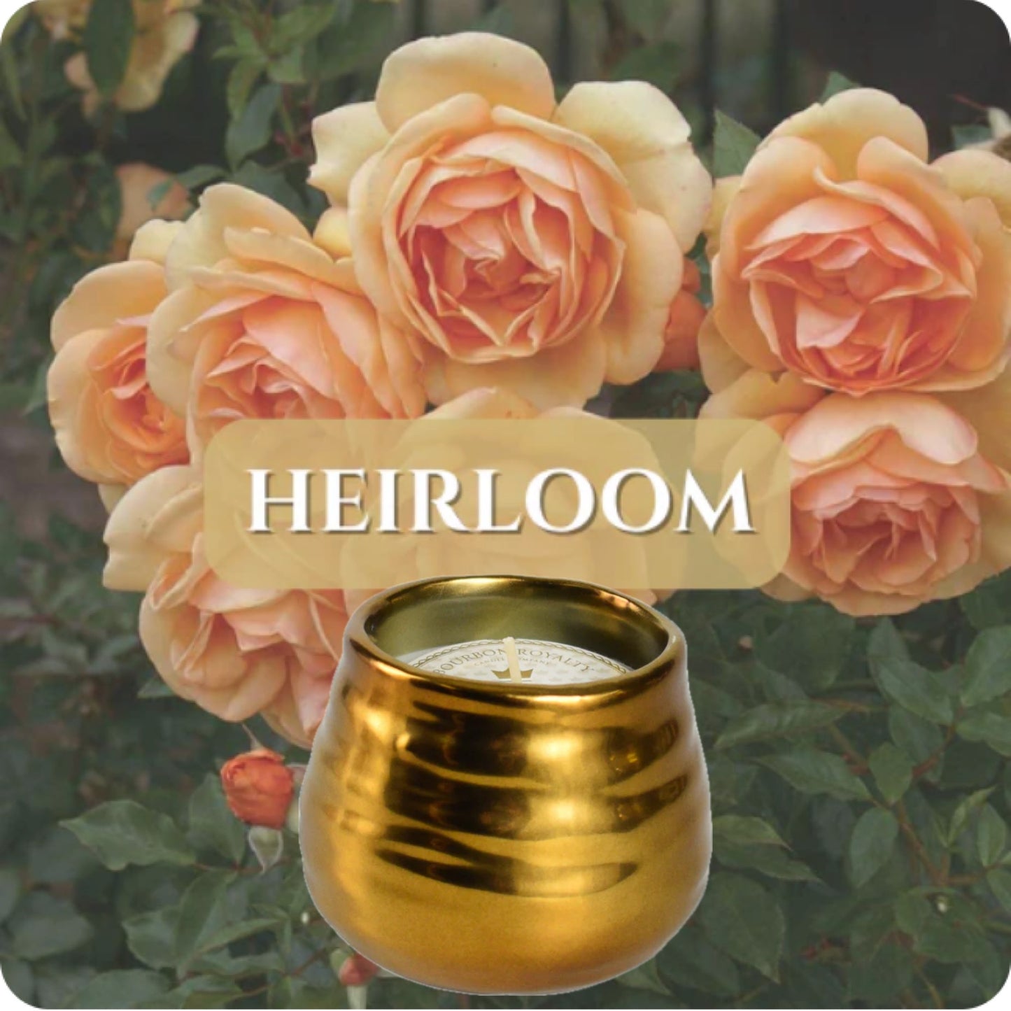 Bourbon Royalty: Midas Gold 8oz Candle