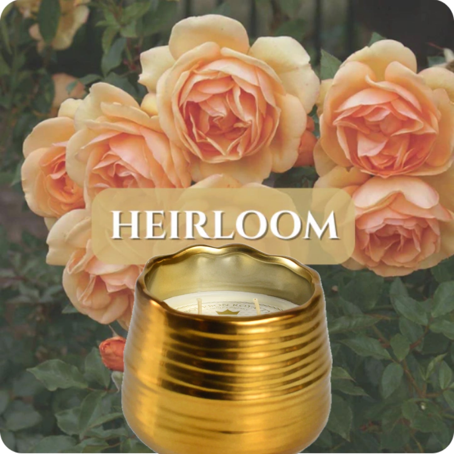 Bourbon Royalty: Midas Gold 20oz Candle