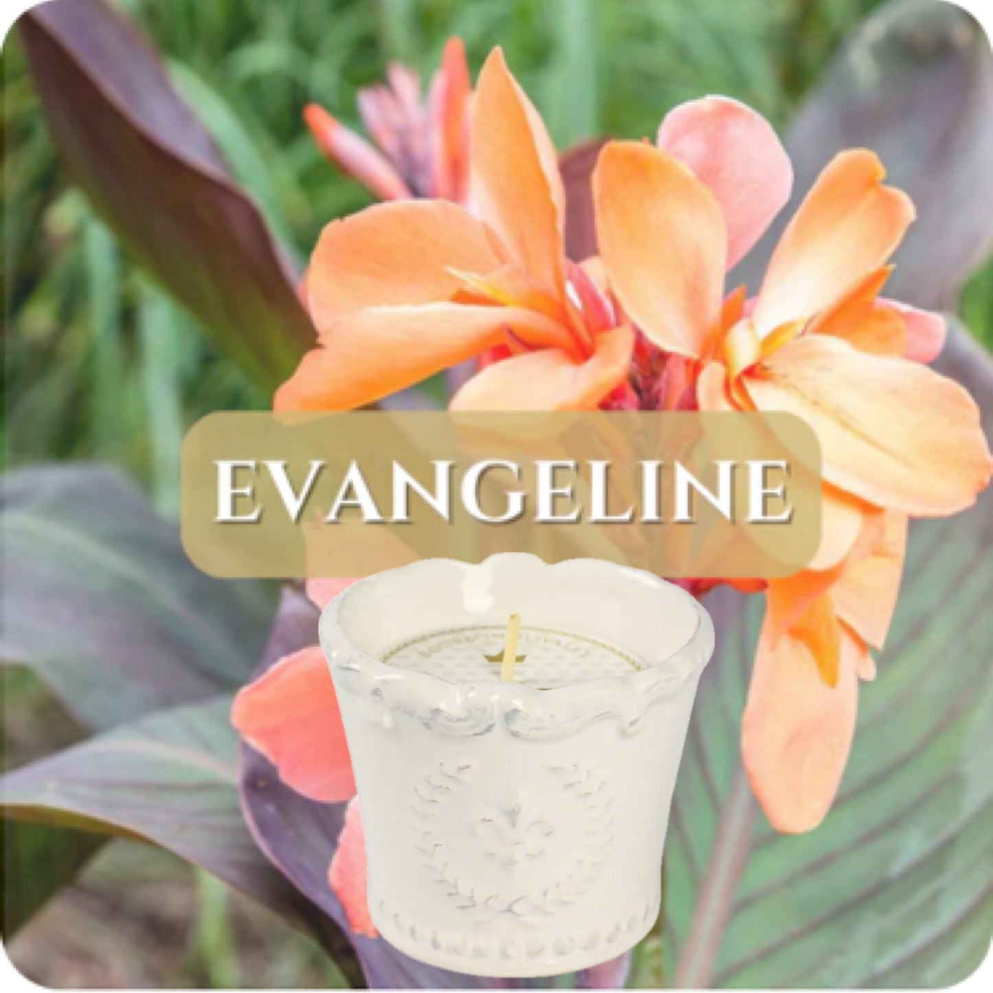 Bourbon Royalty: Marquis 3oz candle