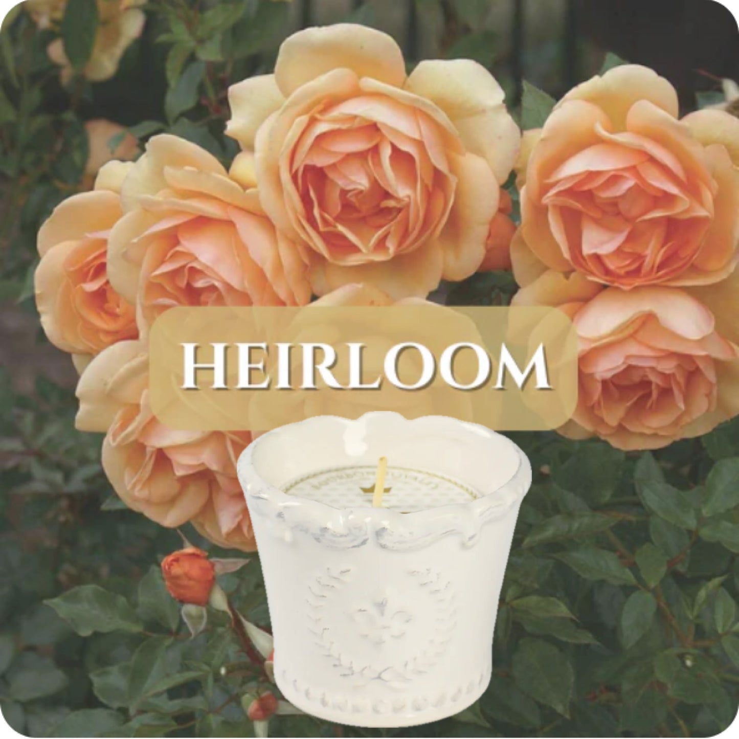 Bourbon Royalty: Marquis 3oz candle