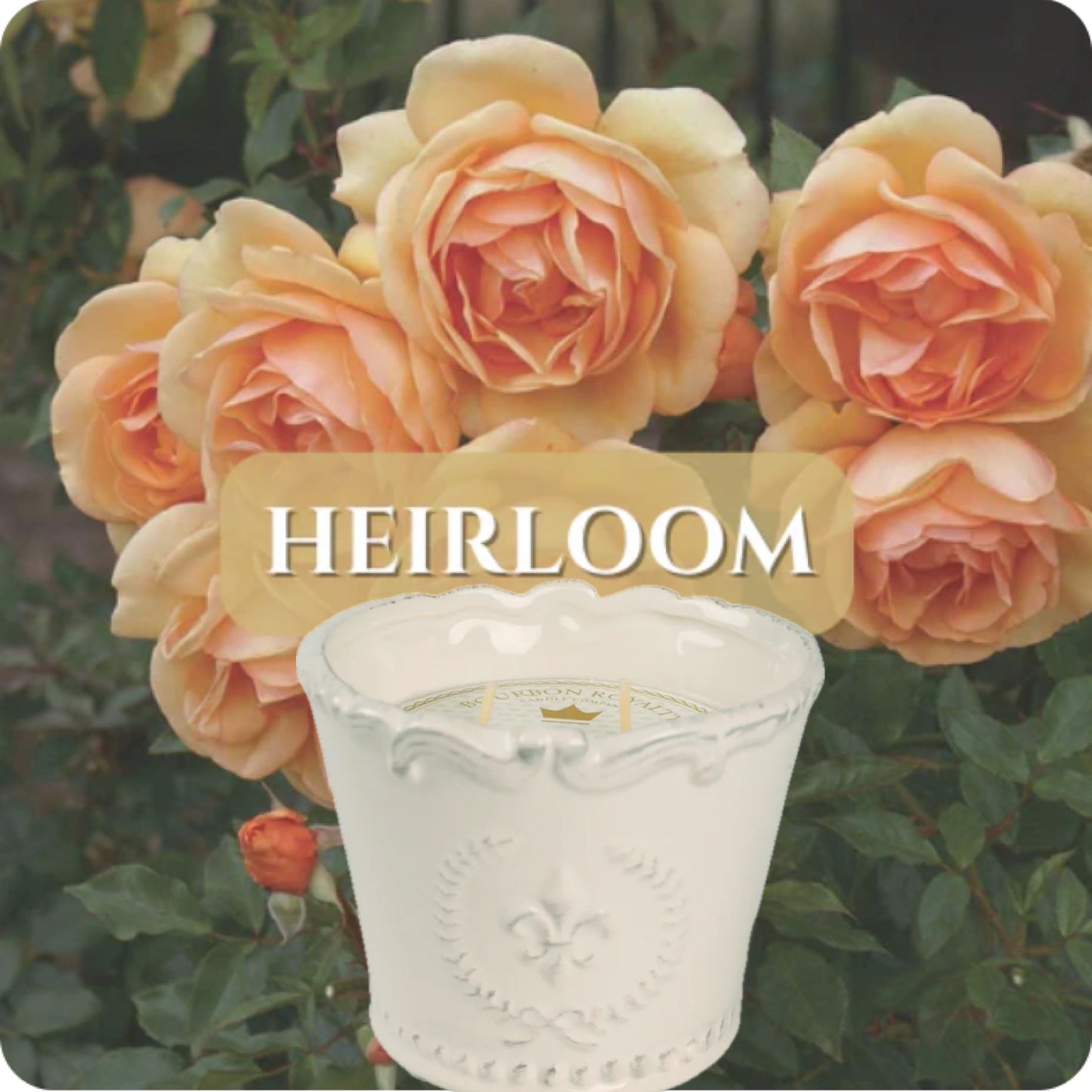 Bourbon Royalty: Marquis 10oz candle