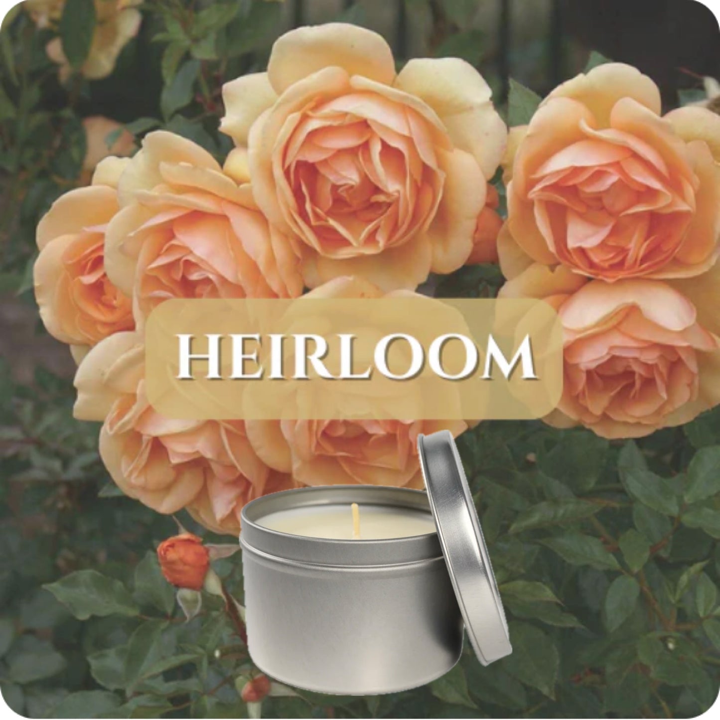 Bourbon Royalty: Travel Tin 8oz Candle