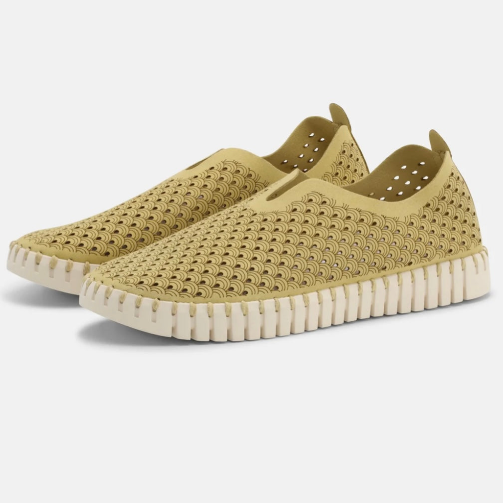Ilse Jacobson Slip On in Citronella