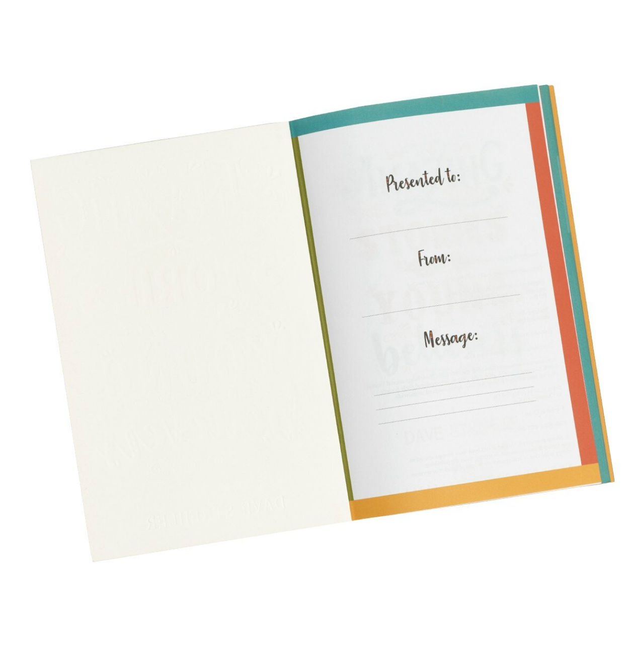 Amazing Stories For Young Believers: Walk through the bible in 366 days