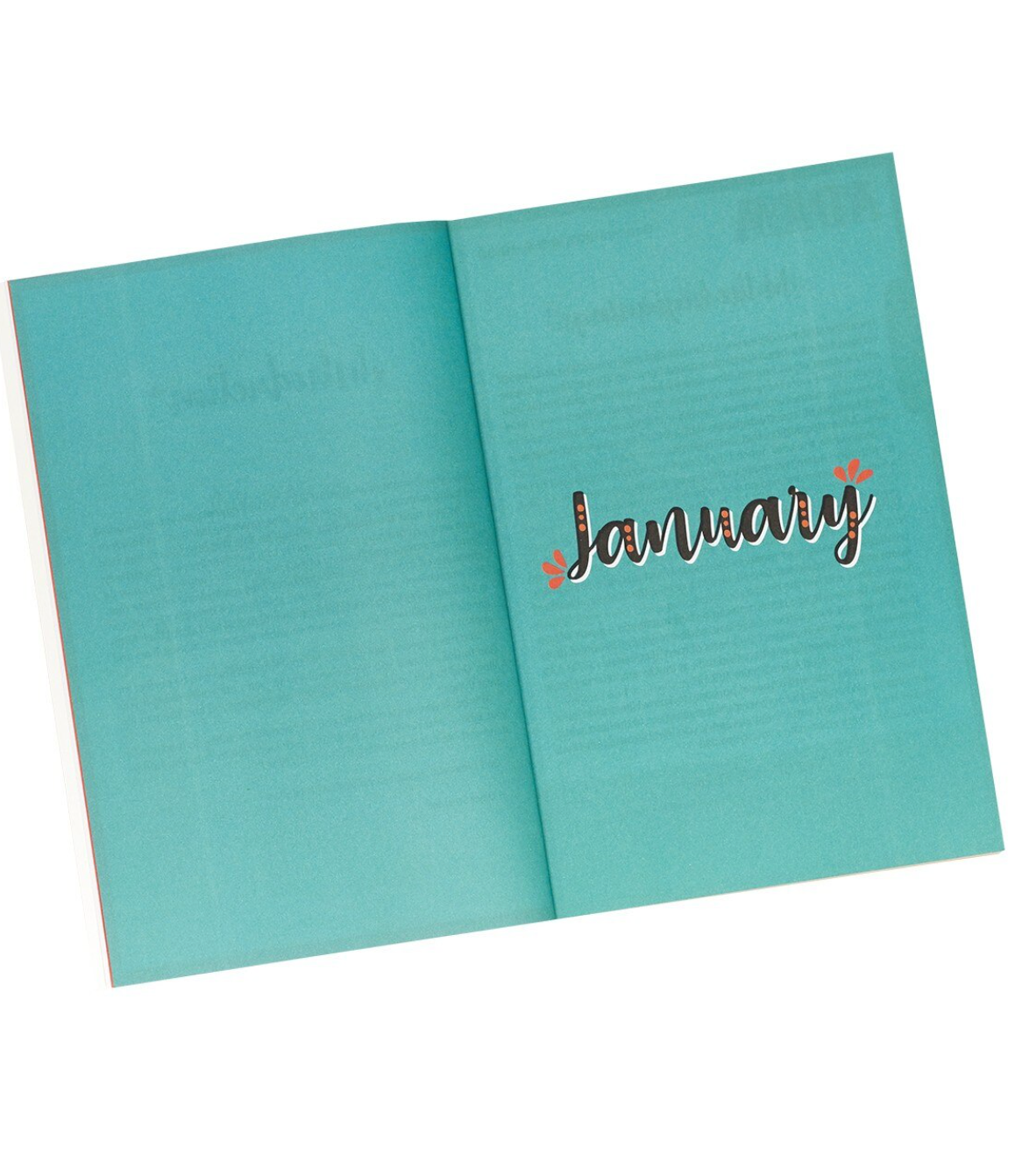 Amazing Stories For Young Believers: Walk through the bible in 366 days