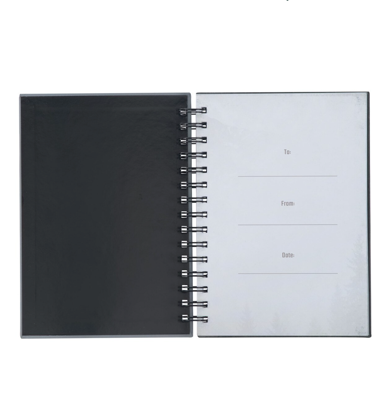Stand Firm In The Faith Spiral Journal