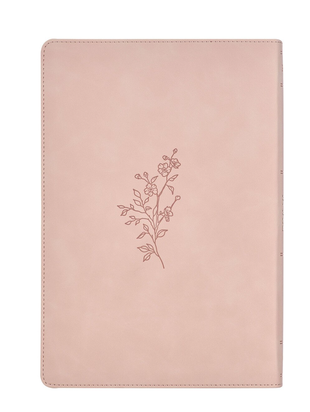 The Holy Bible: King James Version Large Print