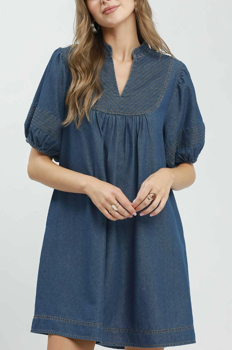 Dashing in Denim Dress