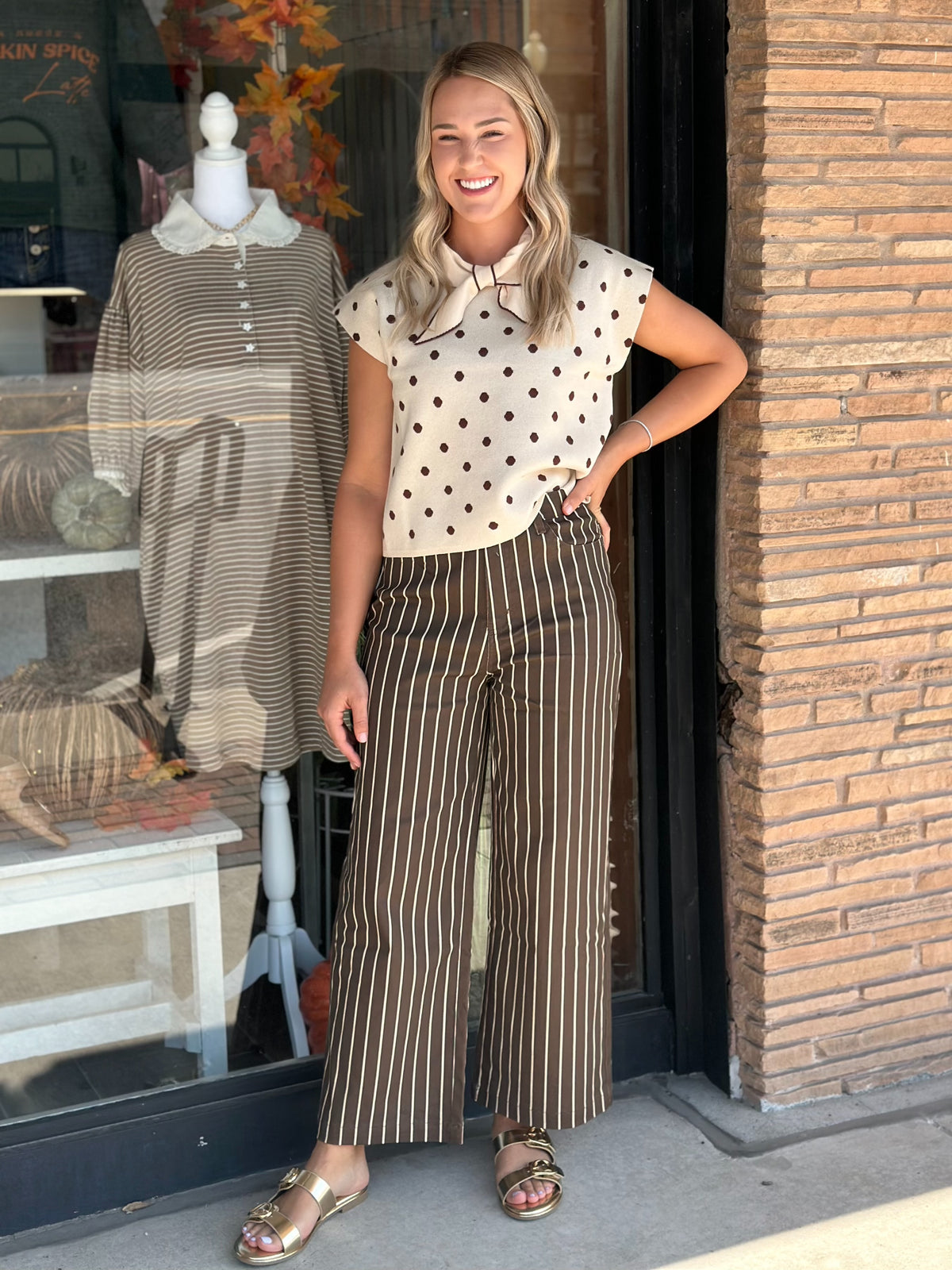 Fifth Avenue Striped Pants in Brown