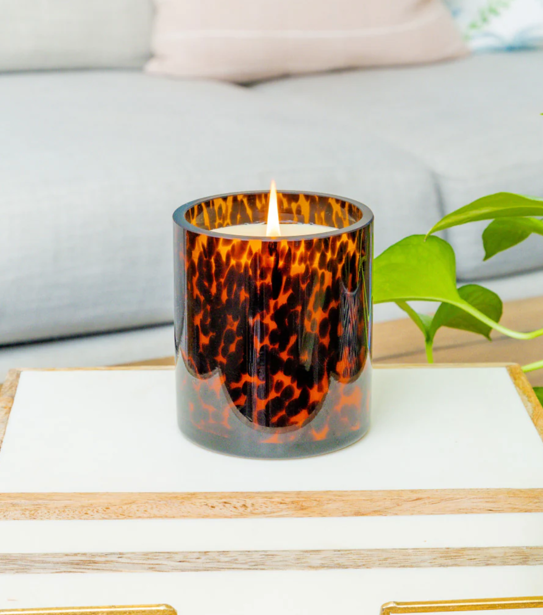 Sweet Grace Tortoise Candle