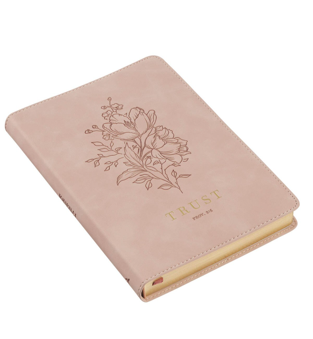 Trust Prov. 3:5 Journal