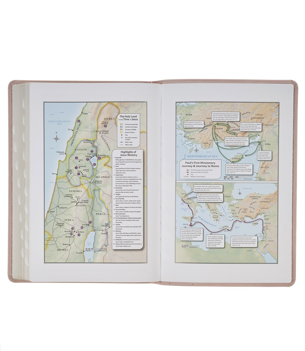 The Holy Bible: King James Version Large Print