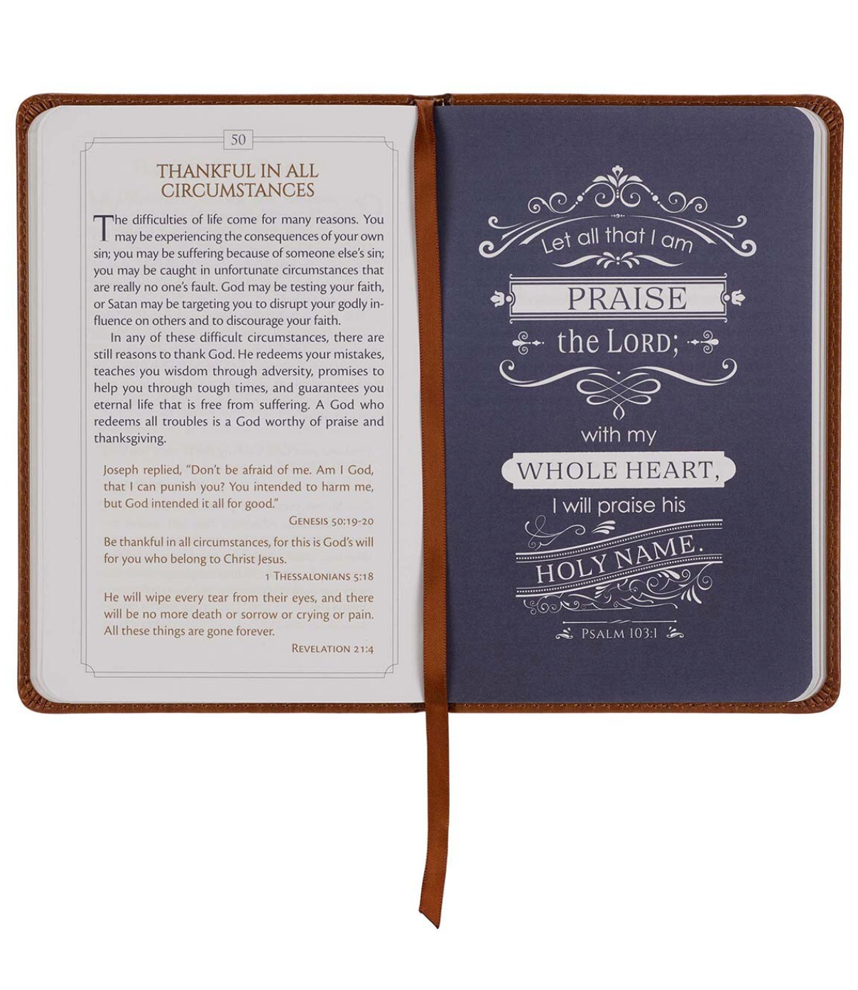 101 Devotions for Men: 1 Timothy 6:11