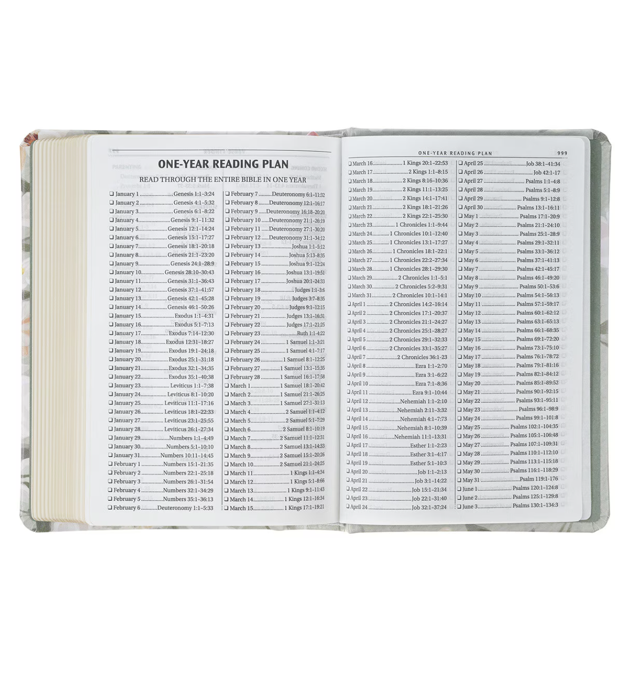 KJV Compact Bible in Floral Sage