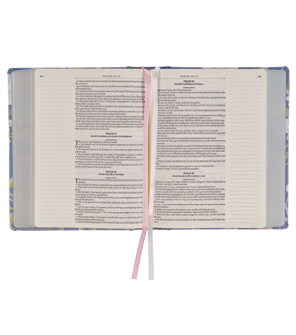 KJV Note-Taking Bible in Blue Floral