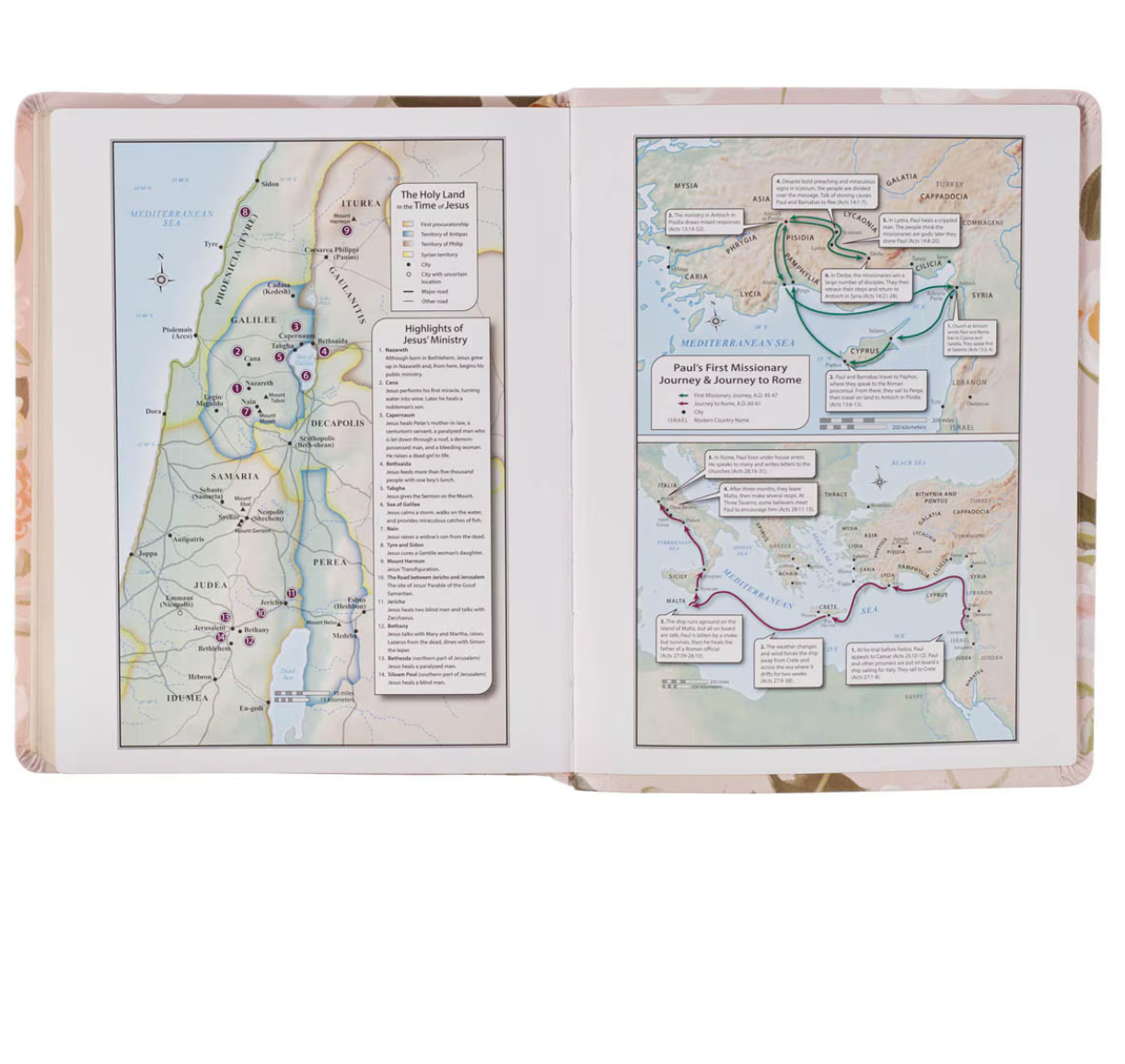 KJV Note-Taking Bible in Blush Floral