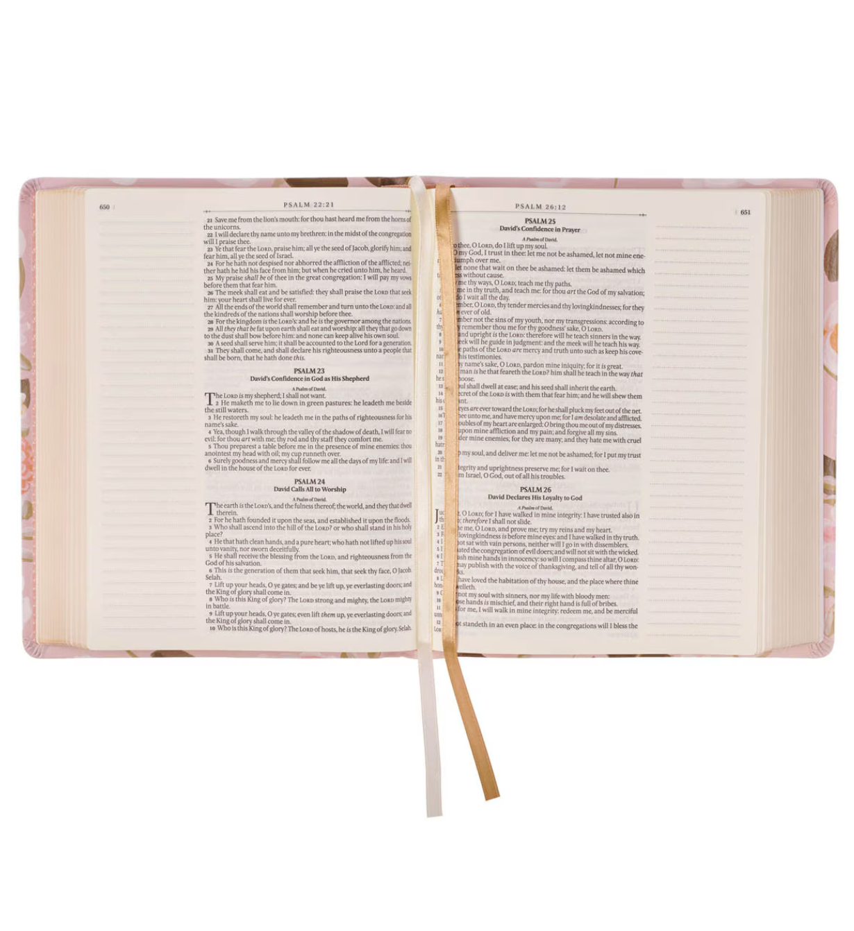 KJV Note-Taking Bible in Blush Floral