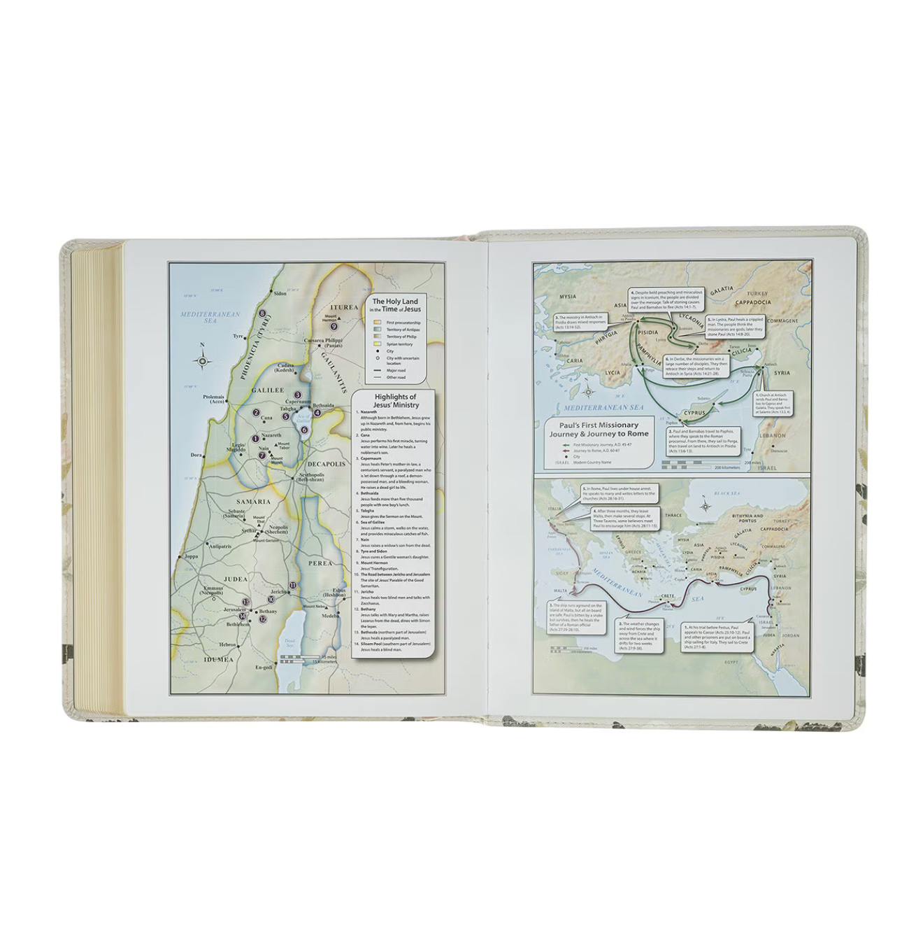 KJV Note-Taking Bible in Cream Floral