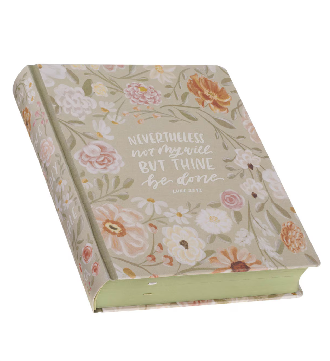 KJV Large Note-Taking Bible in Sage