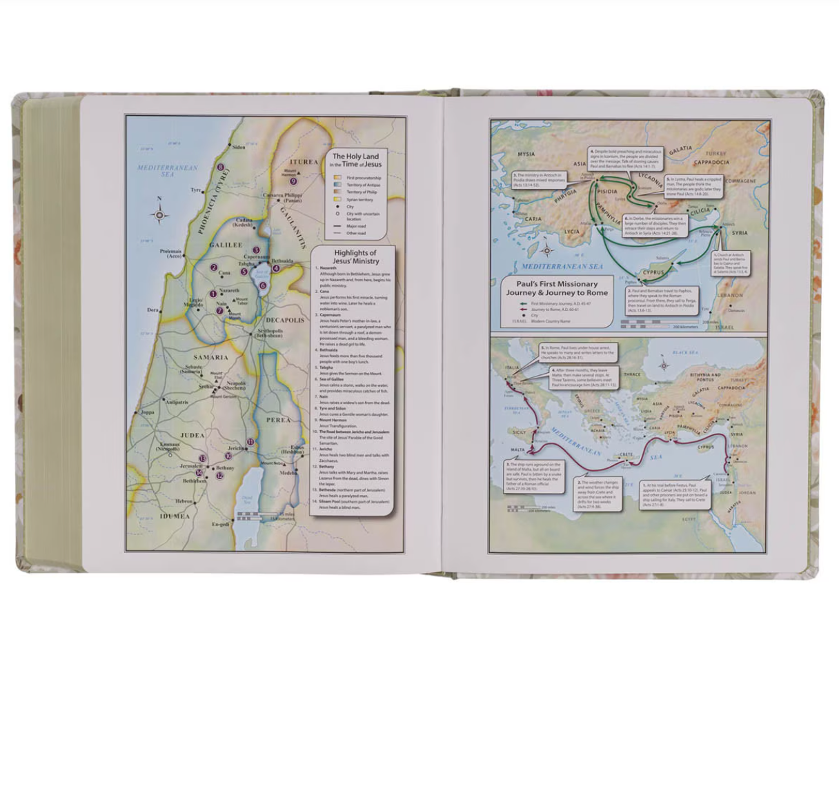 KJV Large Note-Taking Bible in Sage