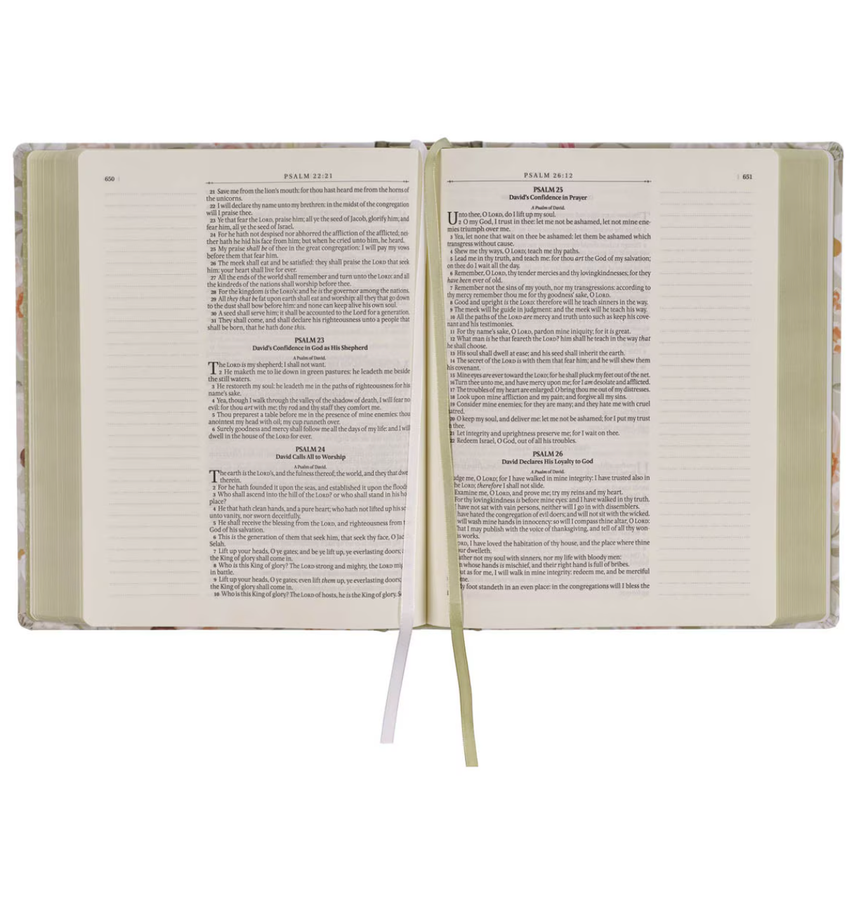 KJV Large Note-Taking Bible in Sage