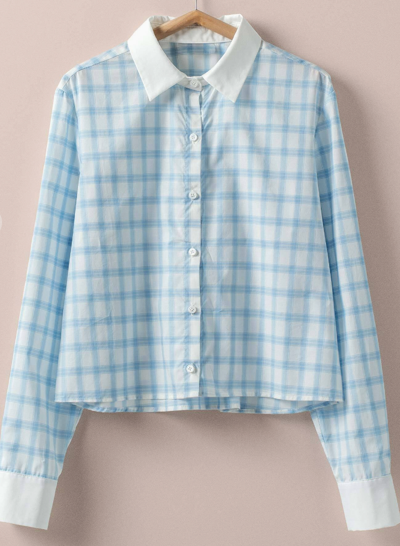 Fresh Look Blue Plaid Top
