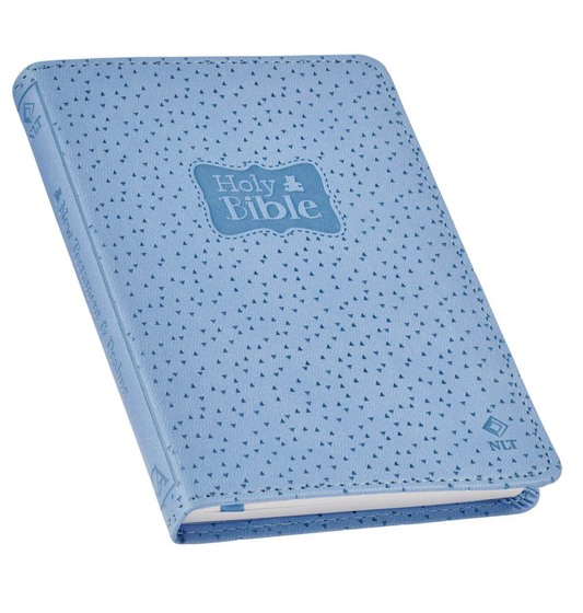 Holy Bible for Boys: New Testament & Psalms