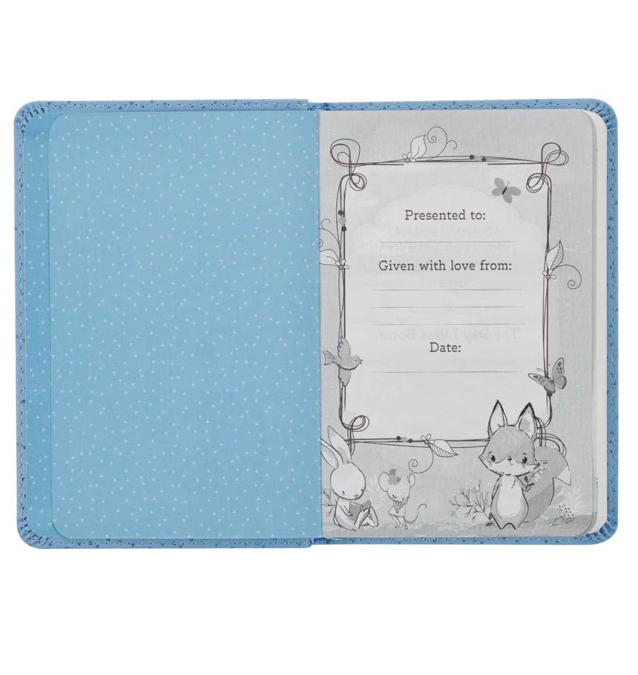 Holy Bible for Boys: New Testament & Psalms