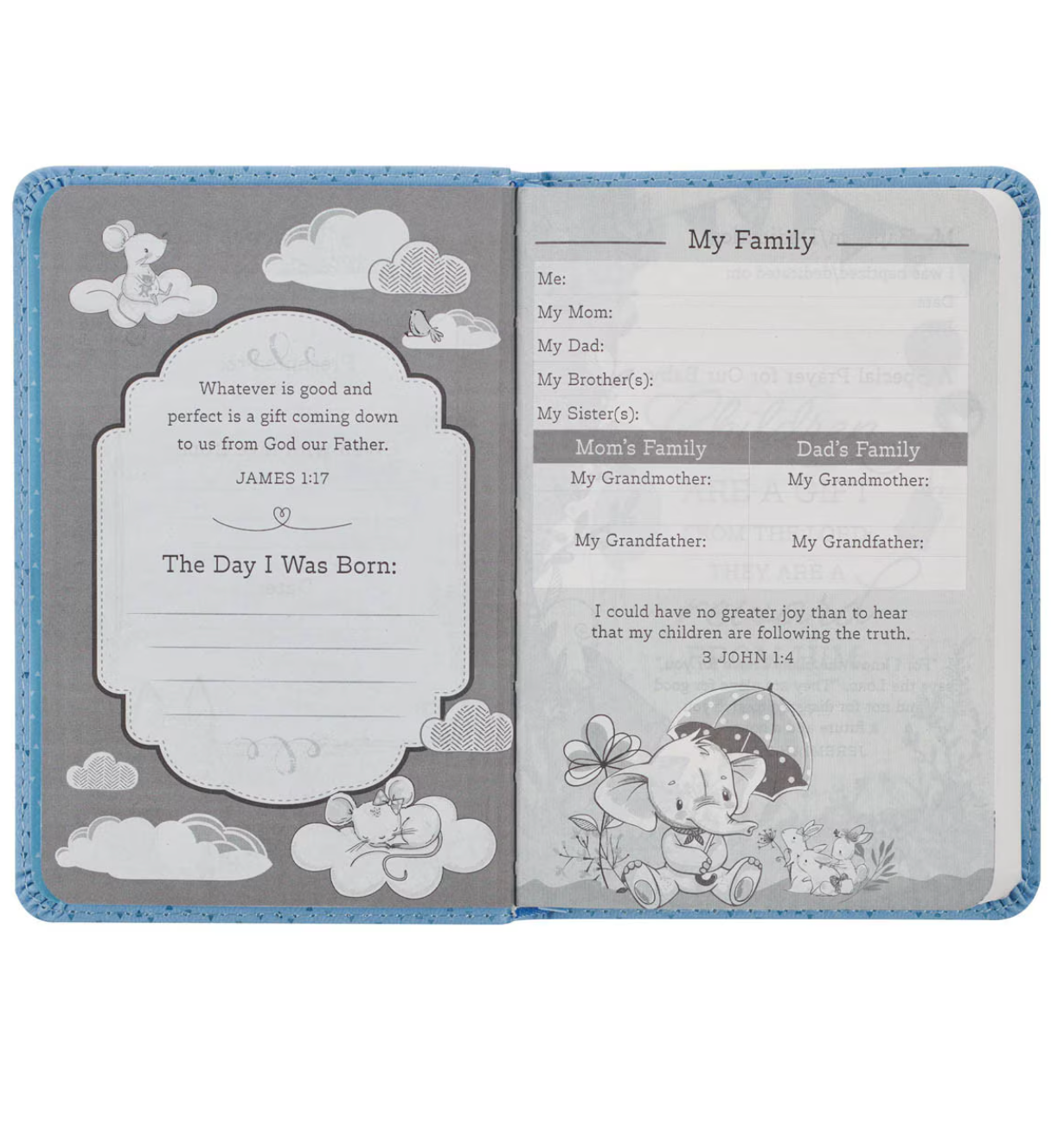 Holy Bible for Boys: New Testament & Psalms
