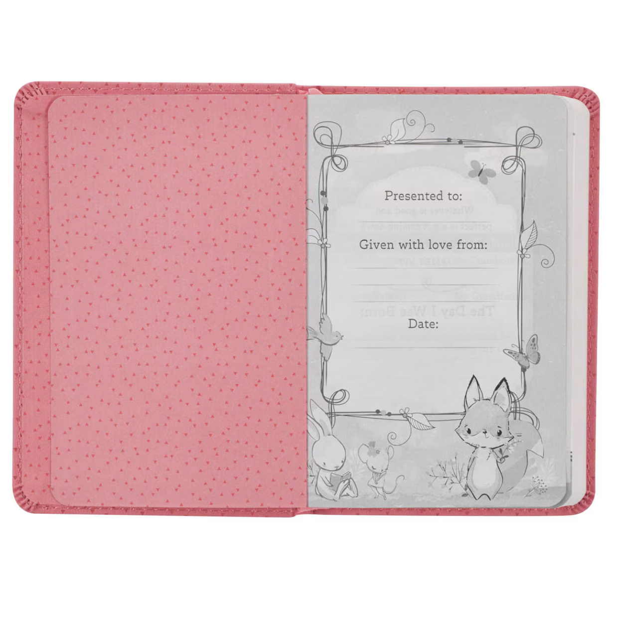 Holy Bible for Girls: New Testament & Psalms