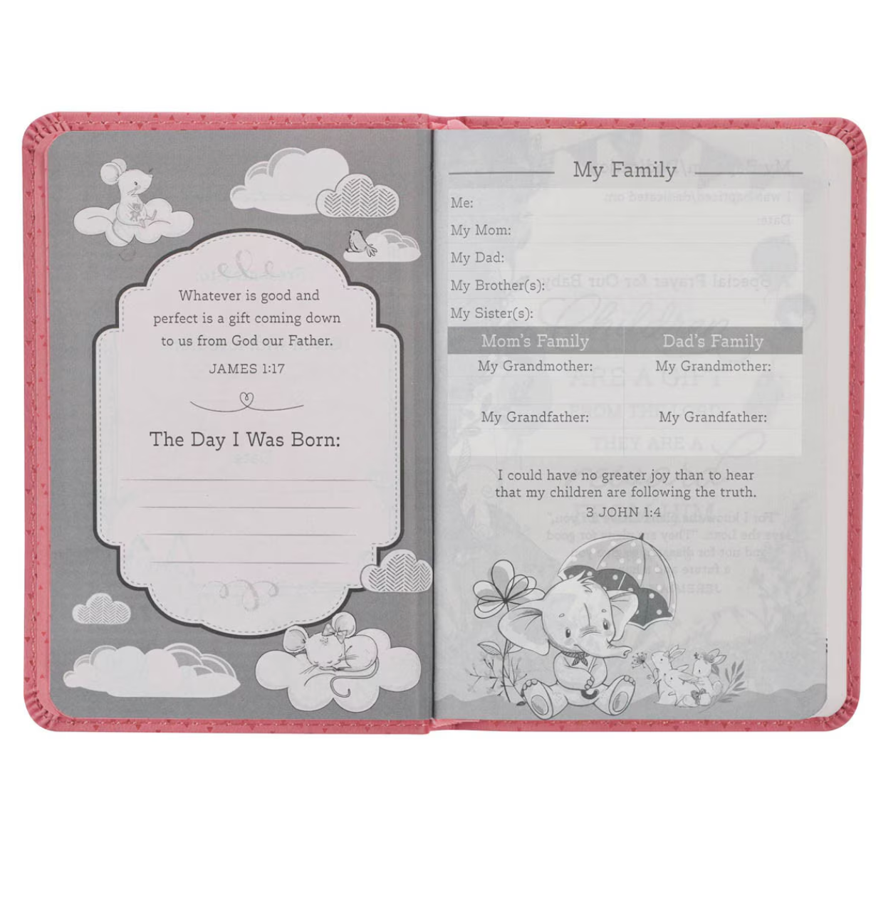 Holy Bible for Girls: New Testament & Psalms