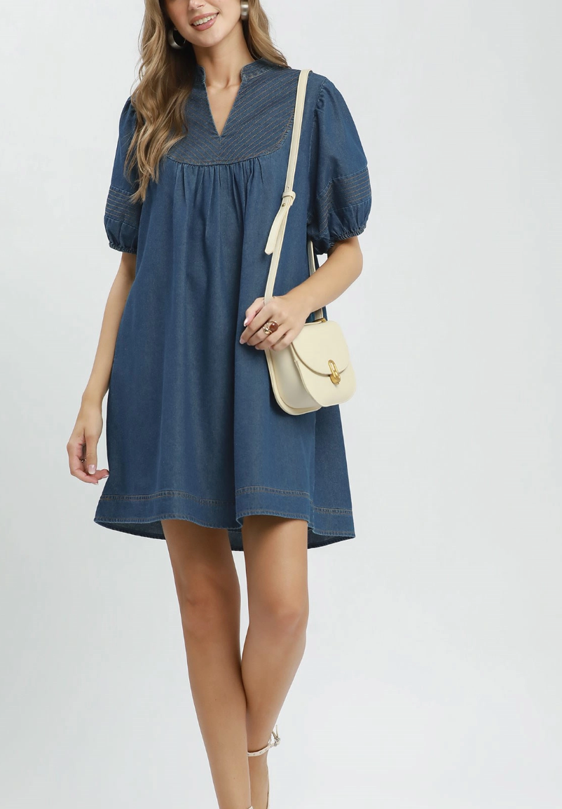 Dashing in Denim Dress