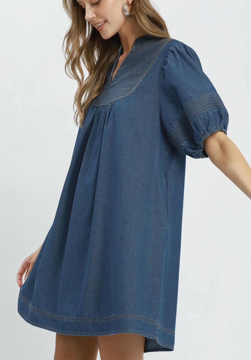 Dashing in Denim Dress