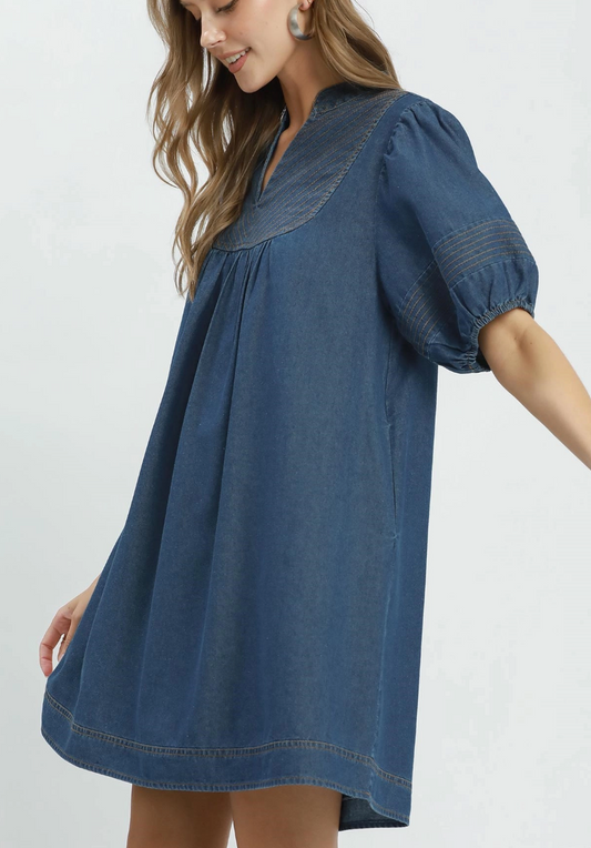 Dashing in Denim Dress