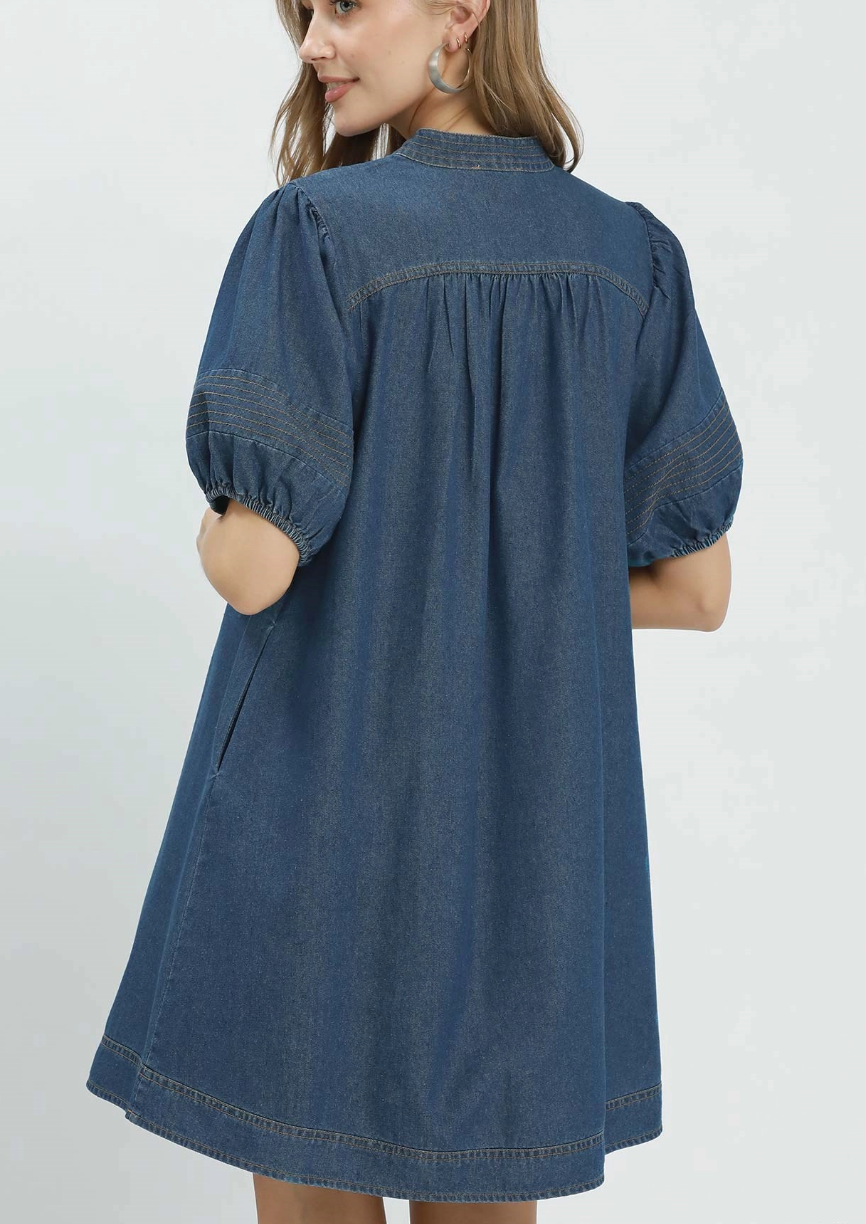Dashing in Denim Dress