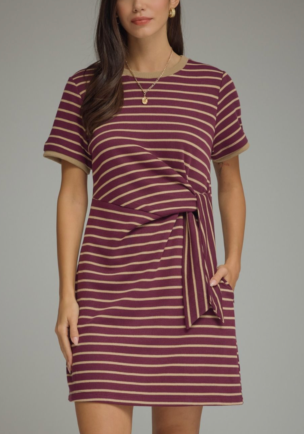 Stripe Society Dress in Plum