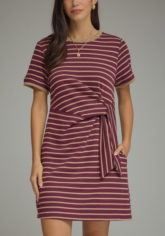 Stripe Society Dress in Plum