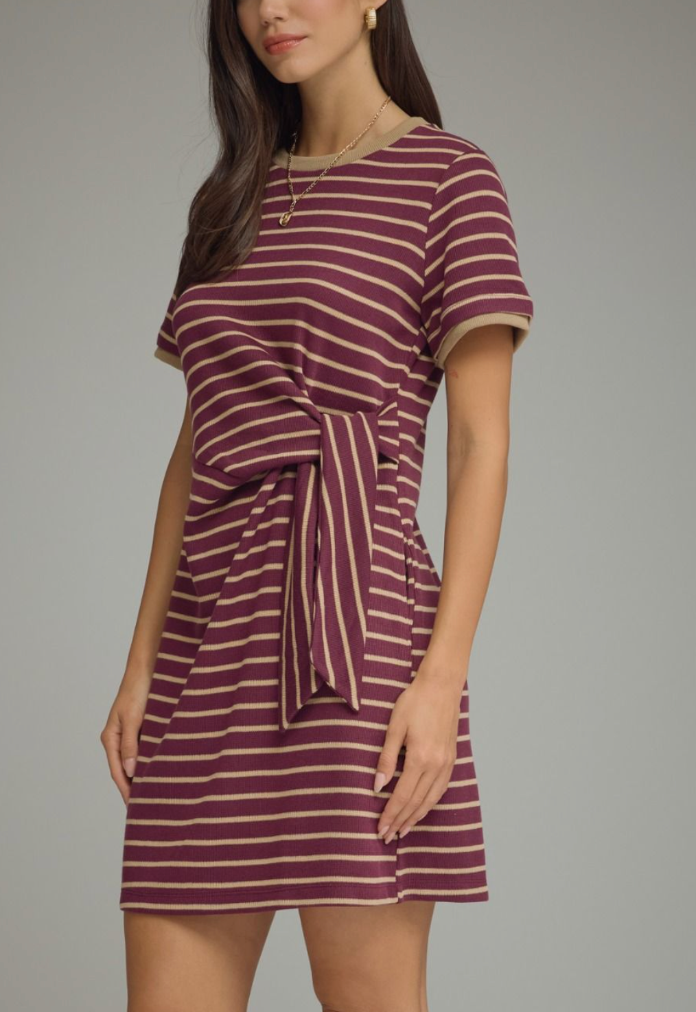 Stripe Society Dress in Plum