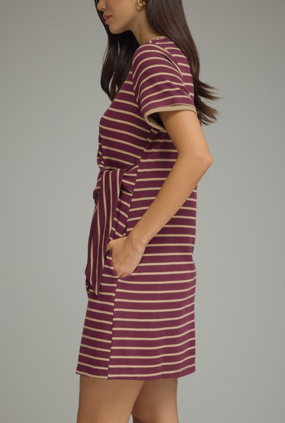 Stripe Society Dress in Plum