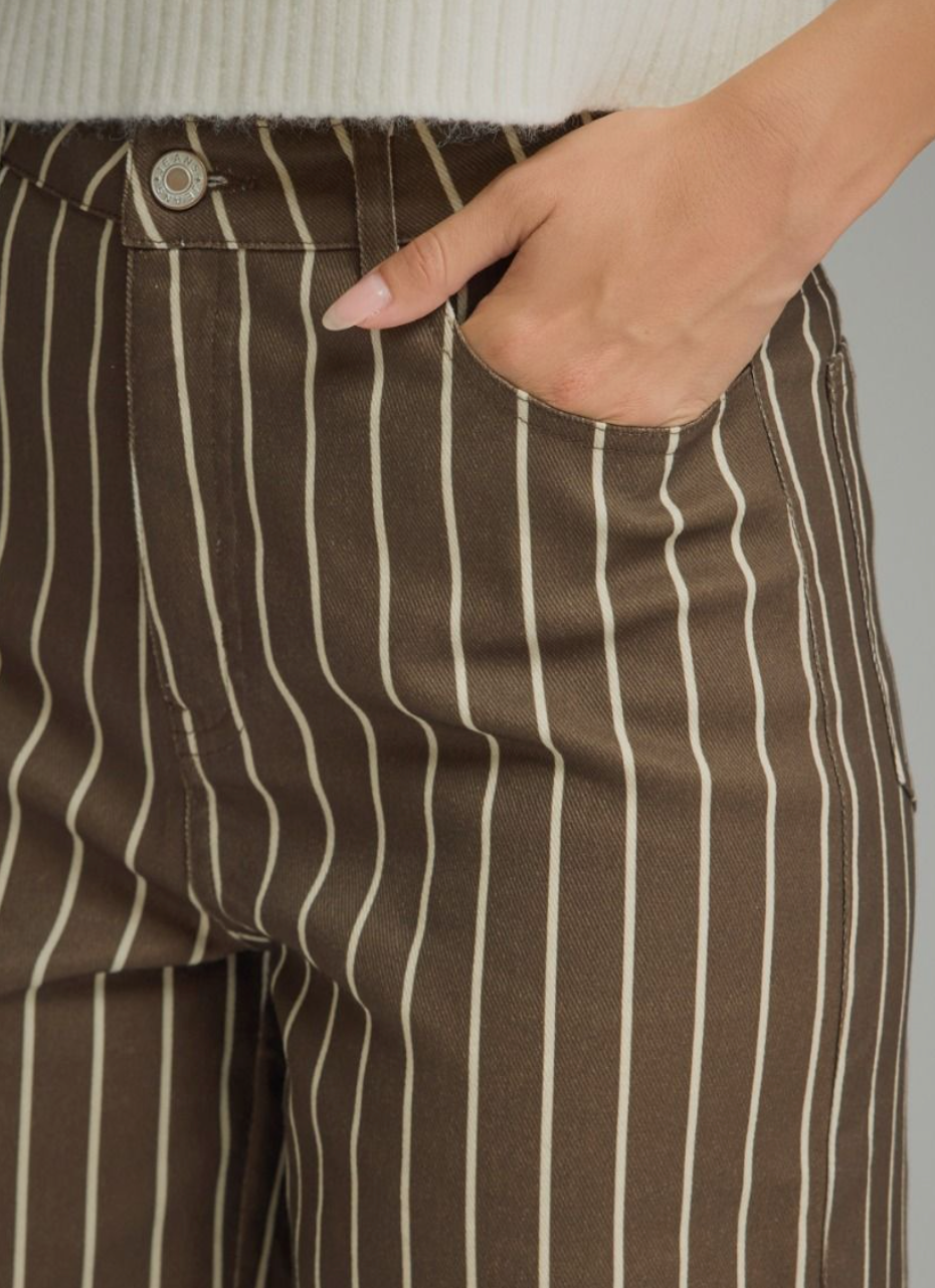 Fifth Avenue Striped Pants in Brown
