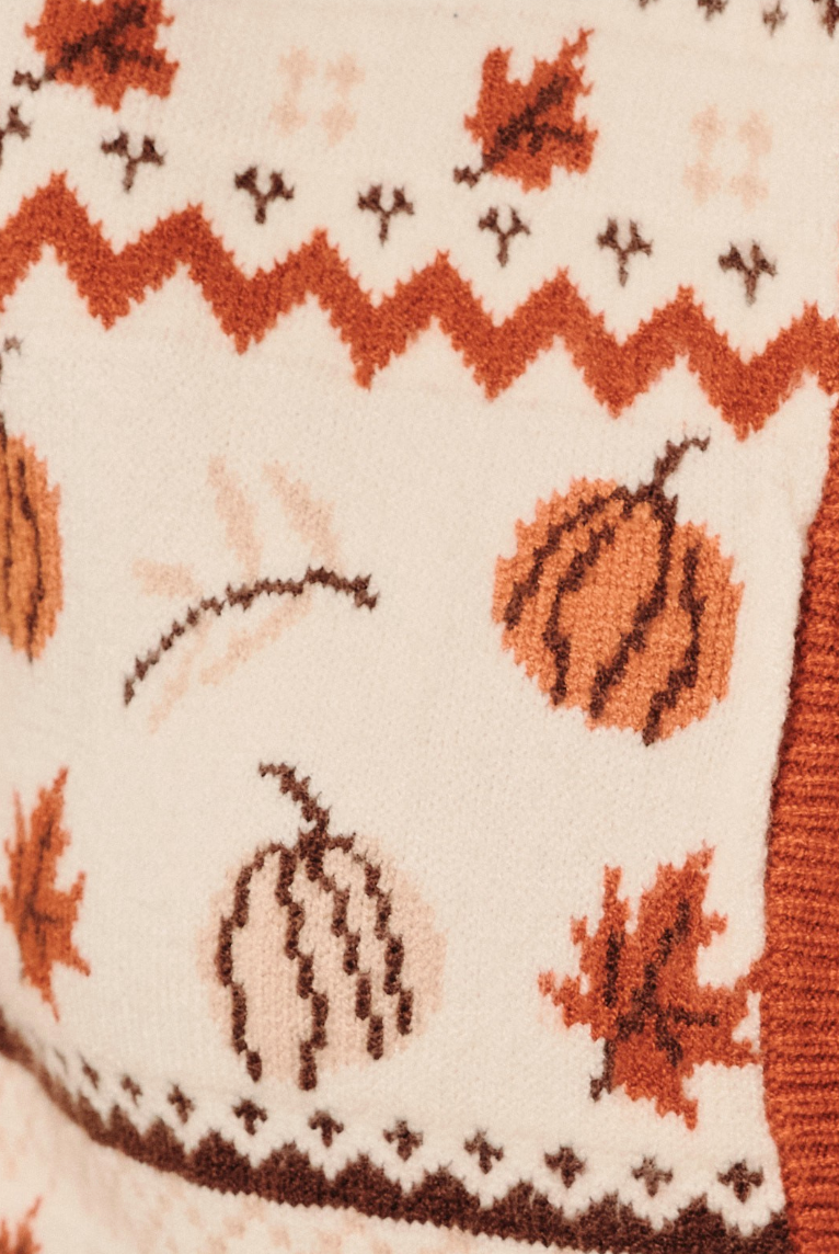 Embracing Autumn Sweater Vest Top