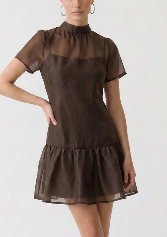 Delicate Delight Dress in Chocolate