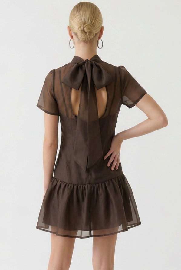 Delicate Delight Dress in Chocolate