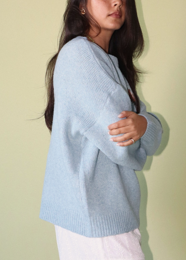 Mallard Mode Sweater in Powder Blue