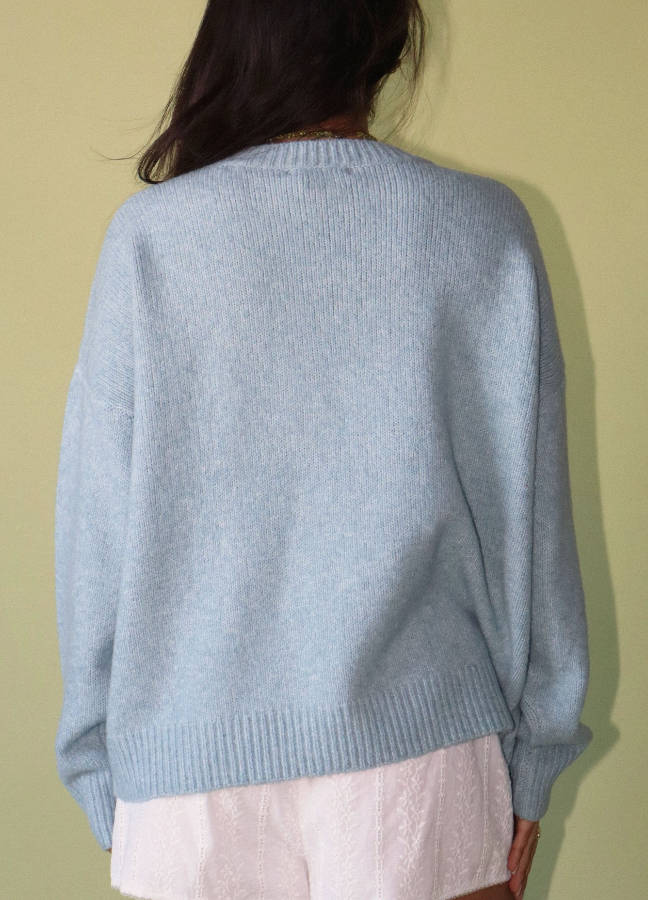 Mallard Mode Sweater in Powder Blue