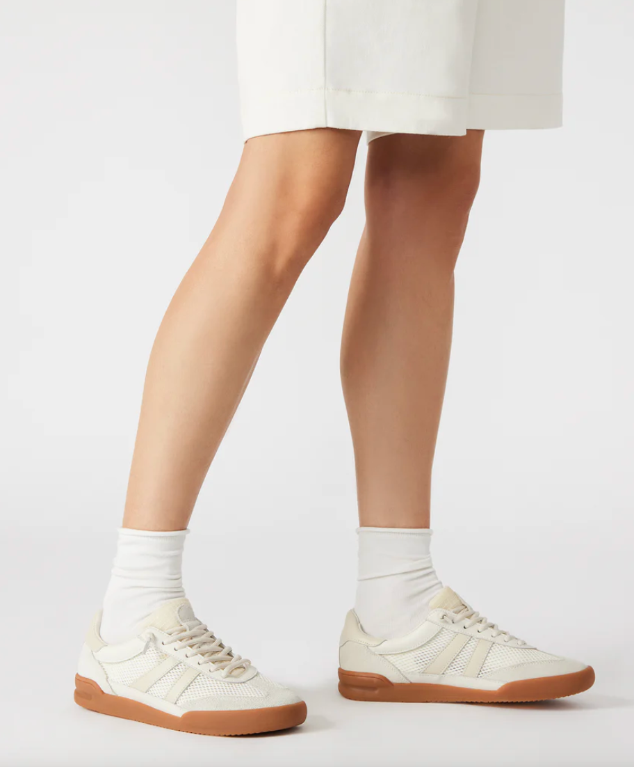 Cream Verdict Sneaker by Steve Madden